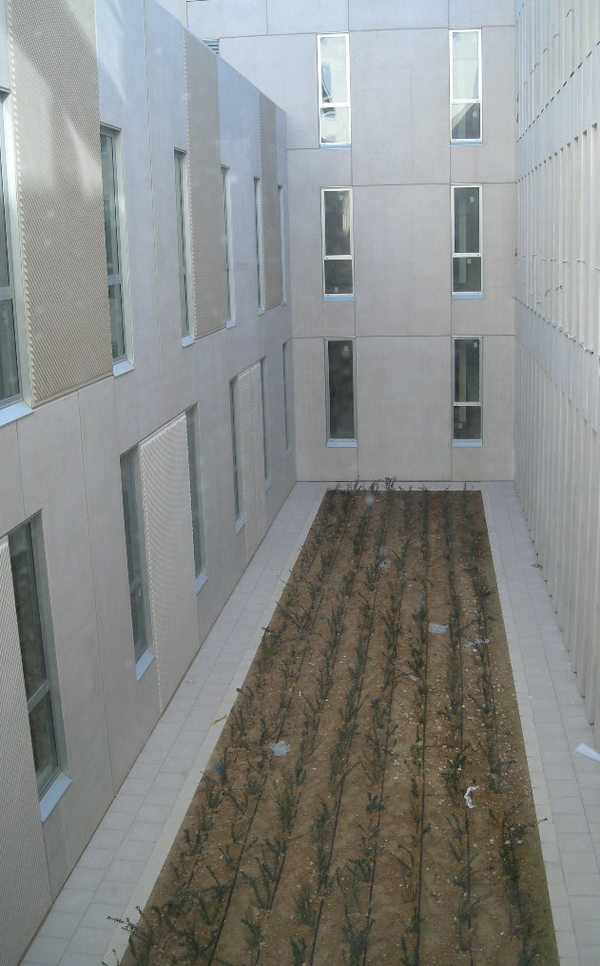 Obra - Hospital Elche