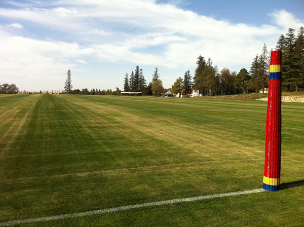 Obra - Real Campo de Polo