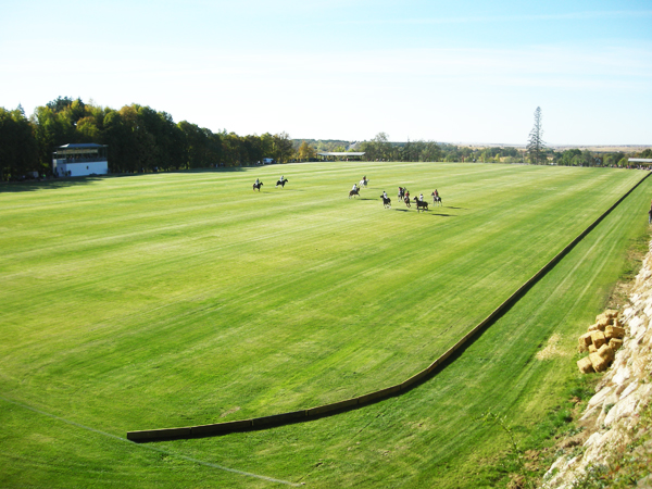 Obra - Real Campo de Polo