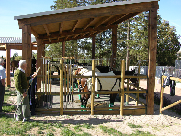 Obra - Real Campo de Polo